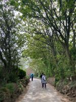 Wanderung Jersey