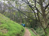 Wanderung Jersey