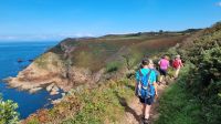 Wanderung an der Nordküste von Greve de Lecq zu Devils Hole