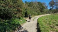 Wanderung an der Nordküste von Jersey zum Devils Hole