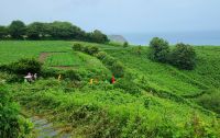 Wanderung an der Nordostküste bei Bonne Nuit Bay