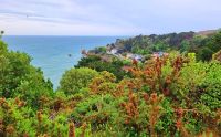 Wanderung an der Südküste von Jersey