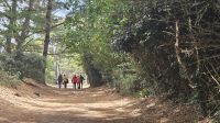 Wanderung auf dem Old Raylway.jpg