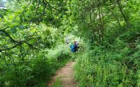 Wanderung auf den North Coast Path auf Jersey