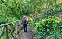 Wanderung im Tal der Wassermühlen - Waterworks Valley