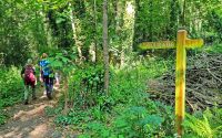 Wanderung im Tal der Wassermühlen - Waterworks Valley