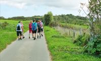 Wanderung oberhalb von Greve de Lecq an der Nordküste von Jersey