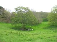 Wanderung zum 