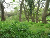 Wanderung zum 