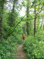 Wanderung zum 