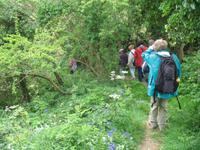 Wanderung zum 