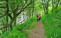 Wanderung zur Bucht Grève de Lecq
