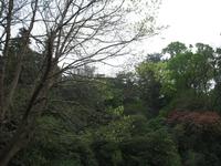 Weg zum 