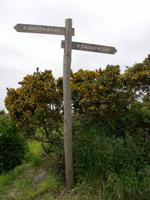 Wegweiser