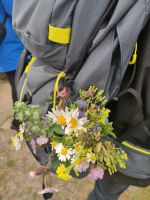 Wildblumenstrauß