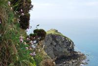 Window in the rock