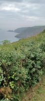 auf dem Weg zu Little Sark