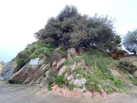 begrünter Hügel in Gorey