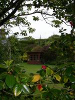 charmanter Garten