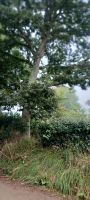 herrliche Natur auf Sark 