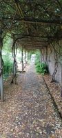 im Botanischen Garten Samares Manor