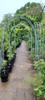 im Botanischen Garten Samares Manor