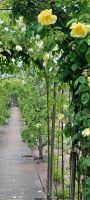 im Botanischen Garten Samares Manor