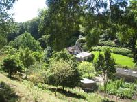 im Privatgarten von Lady Guthrie