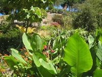 im Privatgarten von Lady Guthrie