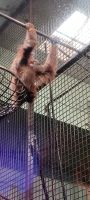im Zoo