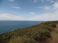 raues Guernsey