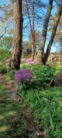 tolle private Gartenanlage