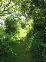 urige Wanderwege auf Sark