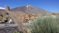 Roques de García und Blick zum Teide im Parque Nacional del Teide)