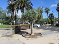 Am Santa Catalina Park