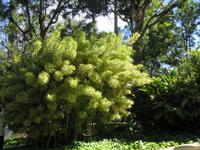 Im Santa Catalina Park