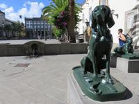 Las Palmas – Kanarische Hunde vor dem Rathaus
