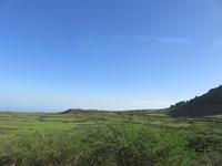 Hochebene von El Hierro