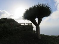 Mirador de La Pena (Meisterwerk von Cesar Manrique)