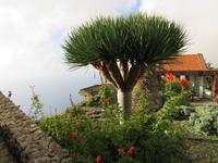 Mirador de La Pena (Meisterwerk von Cesar Manrique)