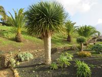 Mirador de La Pena (Meisterwerk von Cesar Manrique)