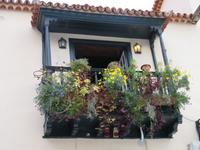 Spaziergang in Santa Cruz de La Palma