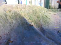 Im Nationalparkzentrum der Caldera de Taburiente