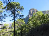 In der Caldera de Taburiente