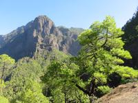 In der Caldera de Taburiente