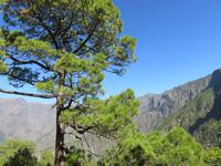 In der Caldera de Taburiente
