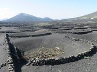 Weinanbaugebiet La Geria