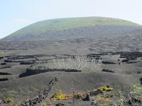 Weinanbaugebiet La Geria