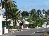 Im Tal der Tausend Palmen