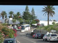 Im Tal der Tausend Palmen